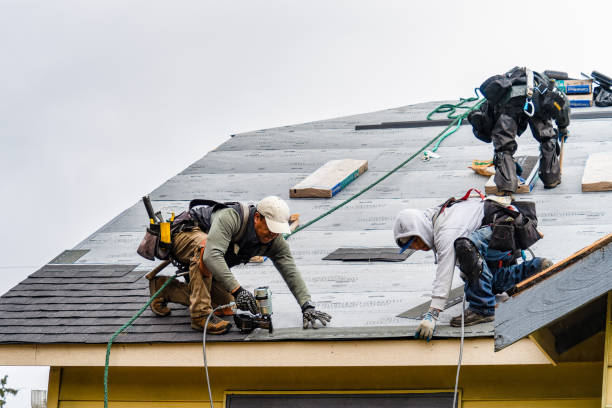 Professional Gutter Installation technician working in Albany, KY